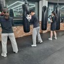 복싱 매니아 이미지