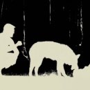 진범이네 농장 이미지