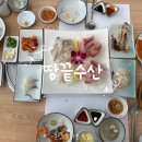 홍어전문점경민수산 | 분당 횟집 룸식당 서현일식 맛집 추천ㅣ제철회가 맛있는 효자촌 횟집 땅끝수산