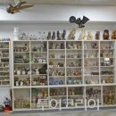 호수와바다 이미지