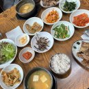 ㈜한돌개발 홍대제2기숙사학생식당 | 홍익대학교 학식은 어떨까? | 홍대 학식 맛 리뷰 학식 혼밥