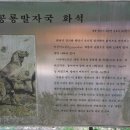 영천 영지사 대웅전 티스토리