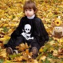 수능생을위한 공연 이미지