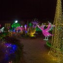 제주허브동산 이미지