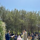 밀드플레 이미지