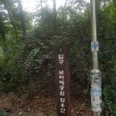 보라매약수터 Daum카페