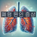 폐렴 원인 증상 전염 급성폐렴 핵심포인트 이미지