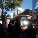 [에버랜드] 신논현에서 에버랜드 / 삼성카드 에버랜드 할인 / 에버랜드 할로윈 후기♡