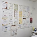 라인 | 강남 언주역 헤어라인문신 후기