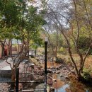 코코비발디 캠핑장 이미지