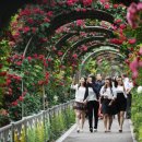 봉우재길 이미지