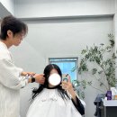 긴머리 레이어드컷 했어요! 청담미용실 아티르헤어 후기