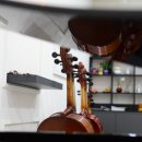 비올라 1:1 개인레슨 이미지