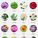 (주)바른약품 이미지