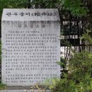 역대 조선왕조 왕비 중 최고의 미모를 가진 단종의 어머니 현덕왕후(顯德王后) 이야기 이미지
