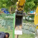 파트라슈반려견학교 이미지