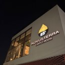 노부스테라 이미지