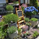 유통행정사 이미지