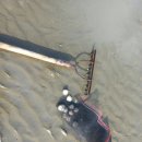 디딤돌농장 이미지