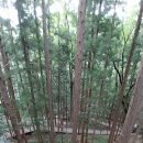 카페만디 이미지