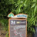 해파랑길 45코스 속초 해맞이공원에서 장사항까지 이미지