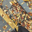 멍냥창고 | [일상] 11-1. 안주하면 ,, 안주거리다,,