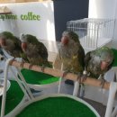 그린대중목욕탕 이미지