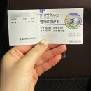 [강원도 영월] 동강오토캠핑장 A동 후기 및 여행기(내돈내산)