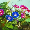 나팔꽃(Morning Glory) 꽃말 ; 덧없는 사랑 이미지
