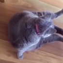 데일리 그루밍 이미지