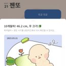 젠또