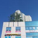 아썸교육