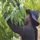 김천시 문화회관 이미지