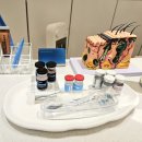 세븐일레븐 부산망미삼성점 | [부산 입술관리] 스킨릿 에스테틱 립퍼밍케어 (ft.주사없이 필러효과)