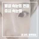 더데일리펫샵 | 별내 속눈썹 , 편하고 오래가는 쥬시 속눈썹