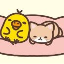 유안 이미지