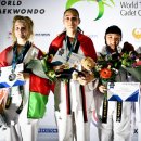 세계로 태권도 이미지