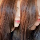 주식회사 파마웍스 | 루체스터 앞머리펌 셀프펌 후기 집에서 뿌리볼륨 살리는 법