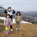 아이와 강원도 여행 휘닉스 평창 포레스트 파크 관광곤돌라 몽블랑 + 석식 온도 디너