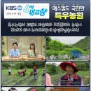 파슬리하우스