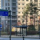 초롱꽃마을3단지 정류장 이미지