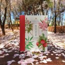 앤의정원 이미지