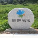 금강김밥 이미지