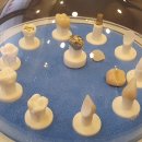 기쁨이있는치과의원 이미지