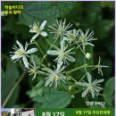 부부사랑