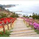 영덕 대게 머그로 갈까나?? 이미지