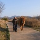 지축농장 이미지