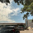 마포면옥 | 부산 기장 월내 밀면 맛집 마포면옥 내돈내산 솔직 후기