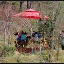 마지초교(병설) 이미지