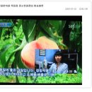 박태민한의원 네이버블로그
